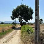 Quinta Cabeco Do Barragao *