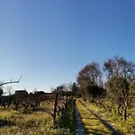 Quinta Cabeco Do Barragao Fundão