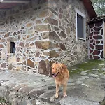 Quinta Cabeco Do Barragao * Fundao