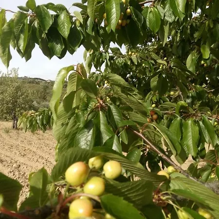 Casa Cabeço Do Barragão * Fundão