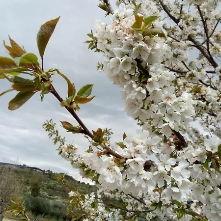Casa Cabeco Do Barragao Сasa de vacaciones Fundão