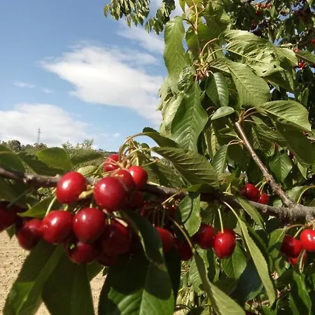 Casa Cabeco Do Barragao * Фундан