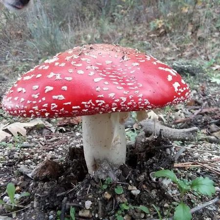 Casa Cabeco Do Barragao