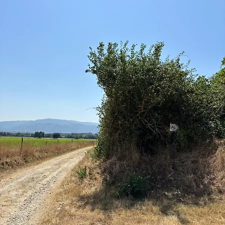 Nyaraló Casa Cabeco Do Barragao