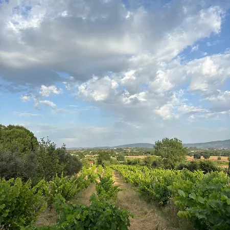 Casa Cabeco Do Barragao Сasa de vacaciones Fundão