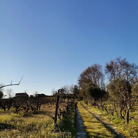 Casa Cabeco Do Barragao Fundão
