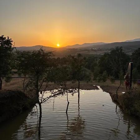 Сasa de vacaciones Casa Cabeco Do Barragao Fundão
