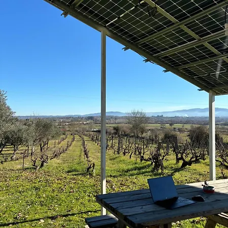 Nyaraló Casa Cabeco Do Barragao Fundão