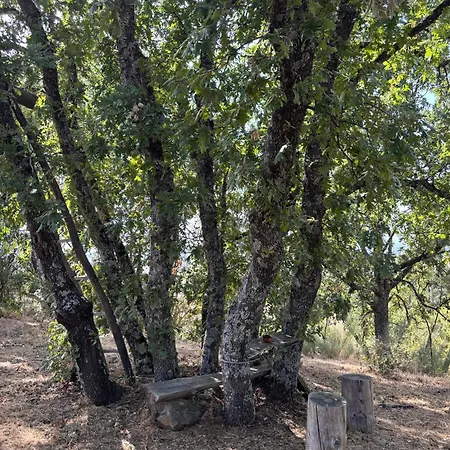 Casa Cabeço Do Barragão Fundão