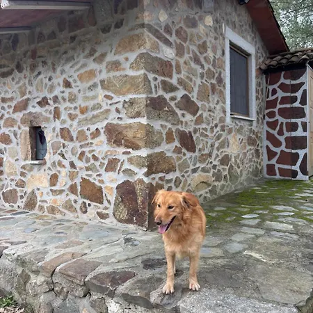 Casa Cabeco Do Barragao * Fundão