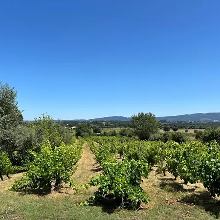 Nyaraló Casa Cabeco Do Barragao *