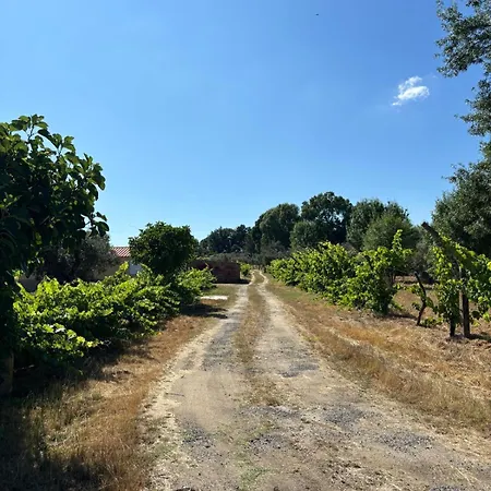 Nyaraló Casa Cabeco Do Barragao *