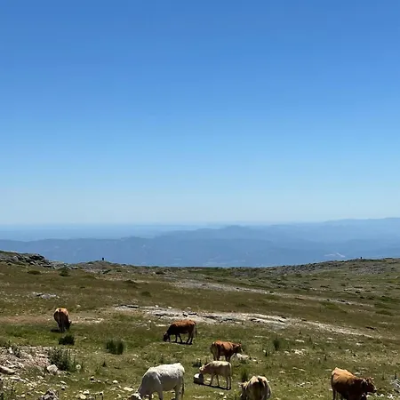 Casa Cabeco Do Barragao