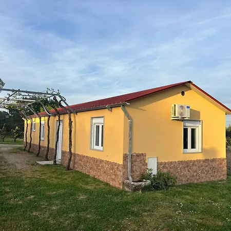 Quinta Cabeco Do Barragao *