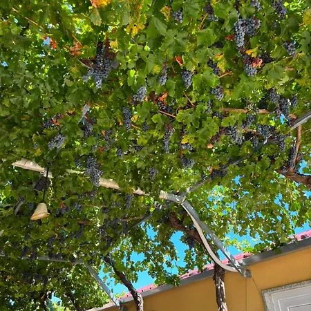 بيت للعطل Quinta Cabeco Do Barragao