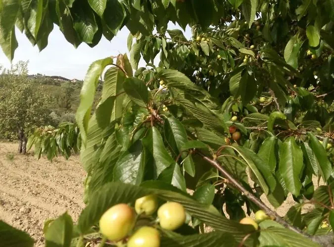Casa Cabeco Do Barragao * Fundão