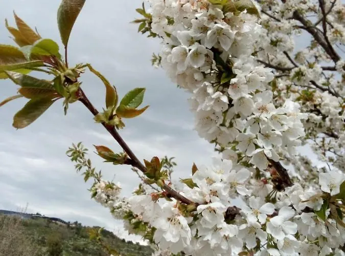 Casa Cabeço Do Barragão Casa de Férias Fundão