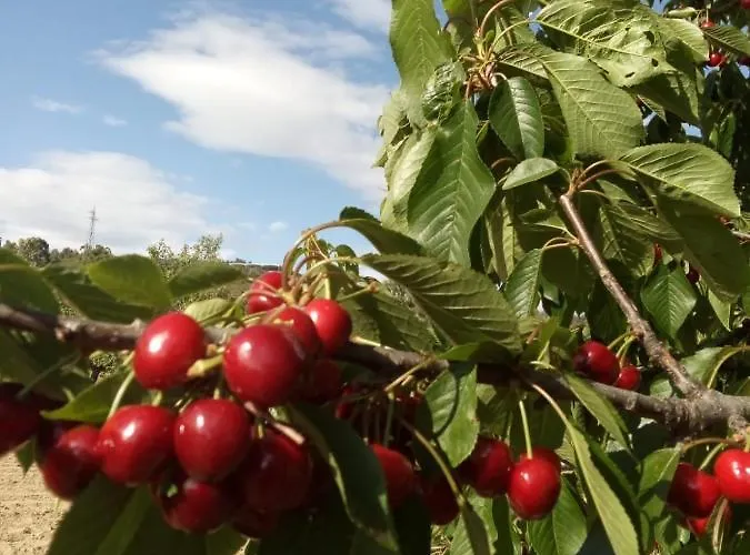 Casa Cabeco Do Barragao * Fundão