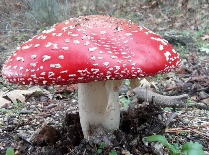 Casa Cabeco Do Barragao