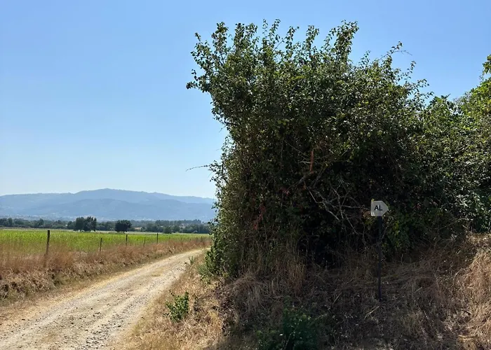 Feriehus Casa Cabeco Do Barragao