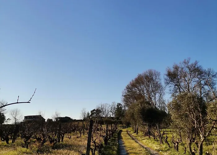 Casa Cabeco Do Barragao Fundão