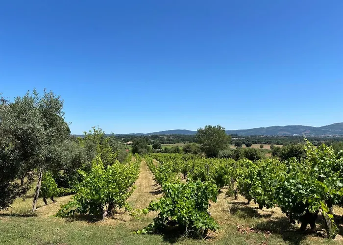 Prázdninový dům Casa Cabeco Do Barragao *