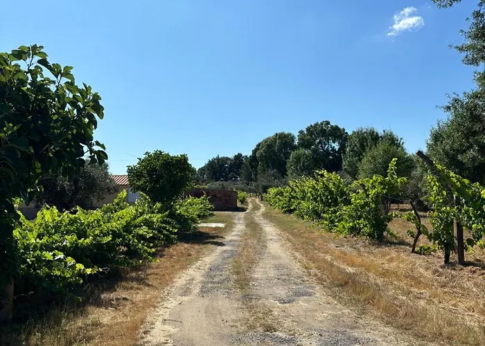 Prázdninový dům Casa Cabeco Do Barragao *